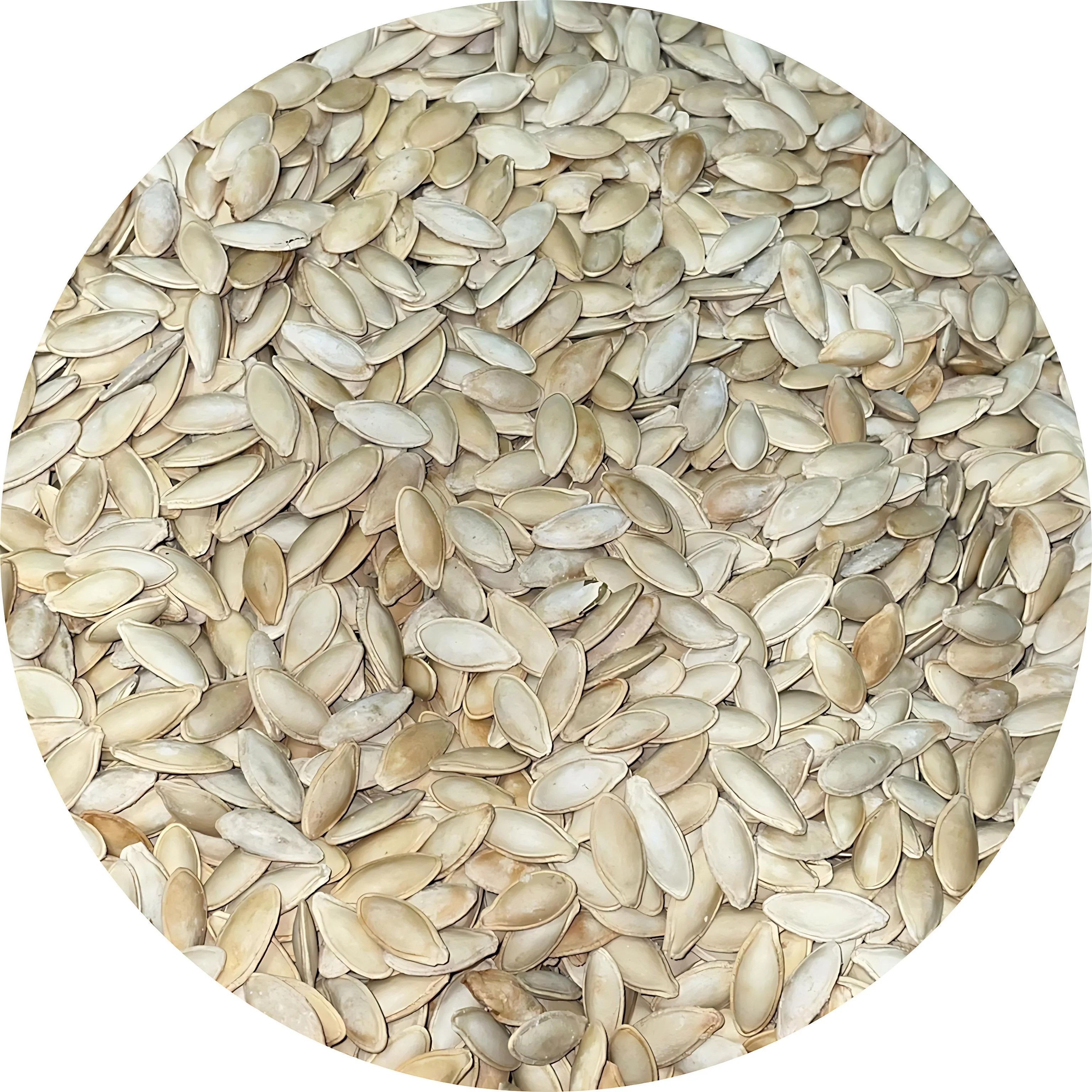 Jack's Pumpkin Seeds Lady Nail / Semilla | 20lb, Case - Image 2